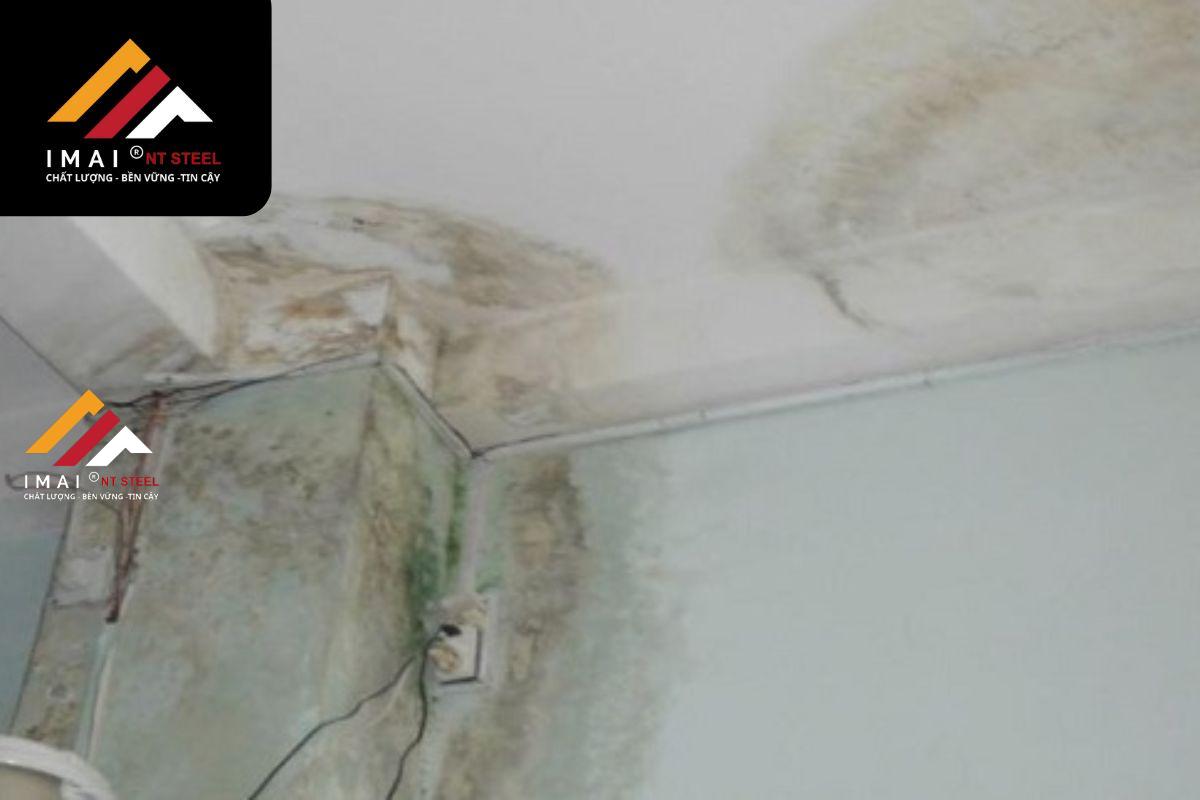 Hậu quả khi mái tôn bị dột mà không xử lý kịp thời
