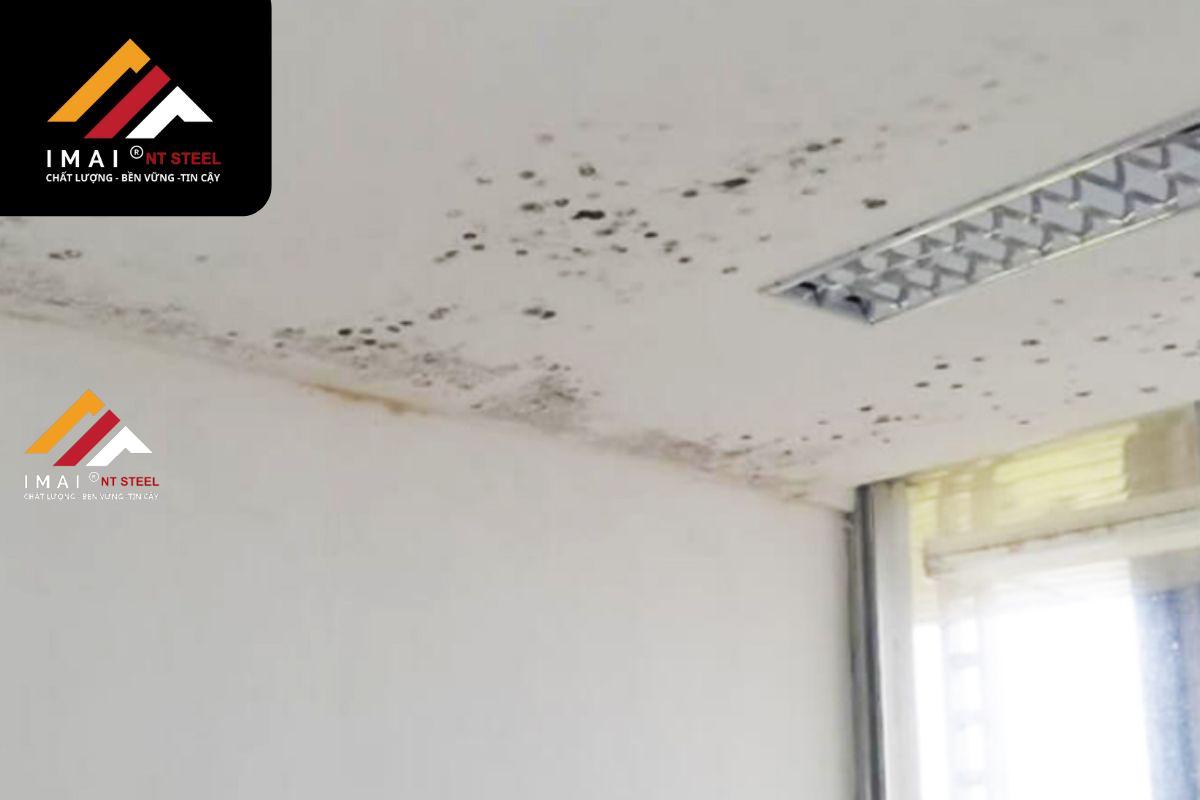 Tìm vết nấm mốc để phát hiện rò rỉ
